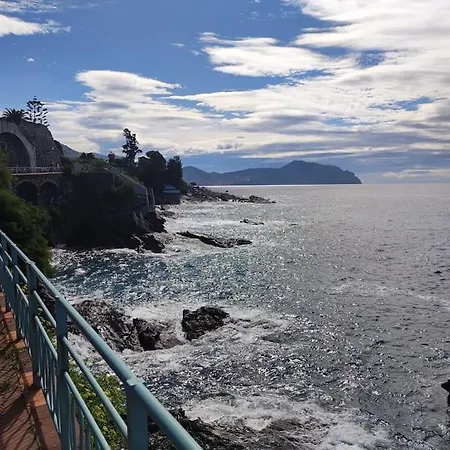 G&g * Nervi